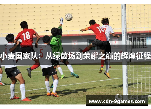 小麦国家队:从绿茵场到荣耀之巅的辉煌征程 小麦国家队:从绿茵场到荣耀之巅的辉煌征程